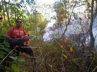 Kebakaran Lahan dan Semak Gunung Batur Bangli Berhasil Dipadamkan Kebakaran