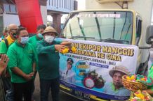 Bupati Tamba Lepas Ekspor Manggis Jembrana ke China Manggis