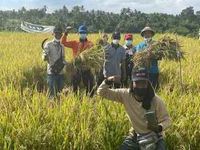 Akademisi FP Unwar Perkenalkan Teknologi BGT Guna Peningkatan Hasil Padi Padi