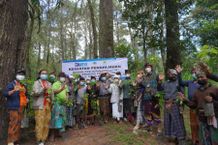 Peduli Lingkungan, PLN Lakukan Penghijauan Hutan Bangli Hutan Bangli