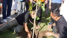 Bupati Tamba Tanam Pohon Bumi Mahottama di RSU Kertayasa Tanam Pohon
