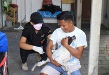 Distan Denpasar Genjot Vaksinasi Hewan Penular Rabies, Pelayanan Setiap Hari Kerja Rabies
