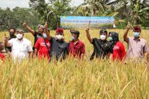Bupati Giri Prasta Hadiri Perayaan Hari Pangan Sedunia Sawah