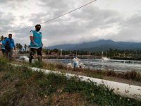 Dorong Produktivitas, 1.087 Pelaku Usaha Pertanian Nikmati Program Electrifying Agriculture PLN PLN