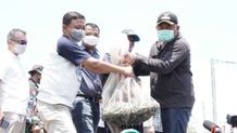 Bupati Jembrana Hadiri Panen Udang Vaname Teknologi Terbaru Udang