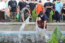 Wali Kota Jaya Negara Tebar Benih Ikan di Tukad Beling dan Tukad Wang Bige Benih Ikan
