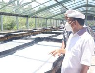 Gubernur Koster Tinjau Tempat Usaha Produk Garam Tradisional Lokal Bali di Desa Pemuteran Garam