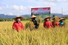 Klungkung Tuan Rumah Hari Pangan Sedunia Provinsi Bali Tahun 2021 HPS 2021
