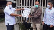 Salurkan Bantuan Ternak Kambing, Bupati Tamba Minta Peternak Jangan Asal-asalan Kambing