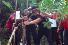 Bupati Giri Prasta Laksanakan Penanaman Pohon di Pelaga Pohon