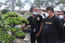 Hadiri Pameran Bonsai, Bupati Tamba: untuk Dongkrak Citra Pariwisata Gilimanuk bonsai