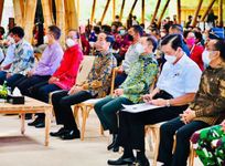 Presiden Jokowi: Pandemi Jadi Momentum Transformasi Fundamental Ekonomi Green Economy