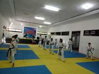 Ratusan Taekwondoin Buleleng Ikuti Ujian Kenaikan Tingkat Kenaikan Tingkat