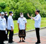 Presiden: Hutan Mangrove Bentuk Komitmen Indonesia dalam Perubahan Iklim Mangrove