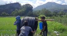 Optimis Perekonomian Bali Bangkit Melalui Pertanian, PLN Gencarkan Electrifying Agriculture PLN