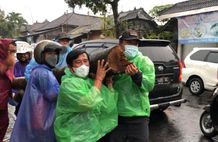 Bupati Sedana Arta Pimpin Giat Gotong Royong Bersama Dinas DLH Kabupten Bangli Pohon Tumbang