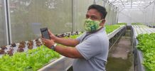 Semakin Modern, PLN UID Bali Dukung Pengembangan IoT untuk Hidroponik di Desa Pelaga IoT Petani
