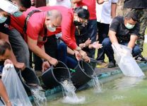 Putri Suastini Koster Tebar Bibit Ikan di Kolam Art Center Denpasar Benih Ikan Tumpek Uye