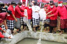 Sukseskan Kampung Keluarga Berkualitas – Gotong Royong, Bupati Tabanan Bagikan 2.000 Bibit Ikan Bibit Ikan