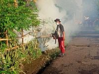 Cegah Penularan DBD, Warga Br. Samping Buni Lakukan Fogging Fogging
