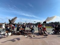 Bupati Sedana Arta Lepasliarkan 3.000 Ekor Burung Merpati di Alun-alun Kota Bangli Merpati