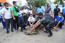 Pangdam Udayana Lepas 33 Ekor Penyu Hijau di Pantai Kuta Penyu
