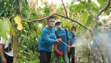 Kalah Diproduksi, Kualitas Kakao Fermentasi Jembrana Diakui Dunia Kakao