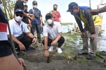 Gelar Aksi Kebersihan dan Tanam Mangrove, Wawali Arya Wibawa dan KPS Hijaukan Muntig Siokan Tanam Mangrove di Muntig Siokan