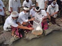Maknai Petinget Tumpek Uye, ST. Yowana Tresna Santhi Gelar Aksi Peduli Lingkungan Tumpek Uye