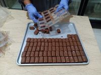 “Cochosyn” Produk Coklat Probiotik Inovasi Peneliti FTP Unud Cochosyn