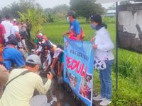 Rangkaian HPN, PWI-IKWI Bali Tebar Benih Ikan dan Jalan Santai Susuri Subak Sembung Ikan
