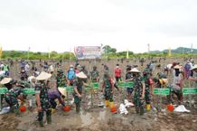 Pangdam Dampingi Kasad Tanam Mangrove di Loteng Loteng