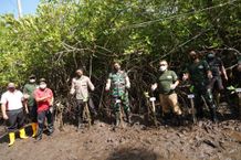 Jaga Ekosistem Pesisir Bali Selatan, Danrem Wira Satya Tanam 5.000 Pohon Mangrove di Kedonganan Bali Selatan