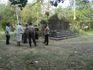 Tanah Adat