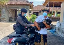 Respon Laporan Gigitan Anjing, Dinas Pertanian dan Pangan Terjunkan Tim Vaksinasi ke Desa Kutuh Rabies