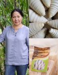 Kupas Tuntas Bambu Tabah Dari Hulu ke Hilir Bersama Akademisi FTP Unud FTP