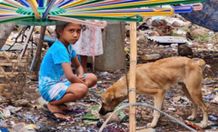 BEM Fakultas Kedokteran Hewan Unud Mengadakan Kegiatan Street Feeding Ulurkan Tangan, Selamatkan Hewan Jalanan Fakultas Kedokteran Hewan