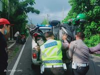 Dua Pemotor Adu Banteng di Kerobokan, Nihil Korban Jiwa Adu Banteng