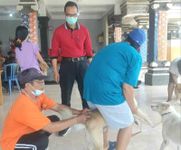 Dukung Suksesnya Pertemuan G20, Pemkab Badung Atensi Anjing Liar di Kawasan GWK Anjing Liar