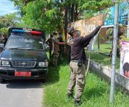 Lagi, Satpol PP Denpasar Tertibkan Banner, Spanduk dan Pamflet Kadaluwarsa Baliho
