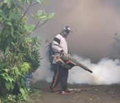 Antisipasi Demam Berdarah dan Cikungunya, Dinas Kesehatan Denpasar Lakukan Fogging di Wilayah Kelurahan Dauh Puri DB