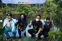 Wawali Arya Wibawa Tanam Pohon Mangrove Serangkaian HUT ke-20 BNN HUT BNN
