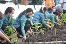 Peringati Puncak HKG PKK ke-50, Antari Jaya Negara Tanam Tanaman Pangan di TPS3R Panjer Puncak HKG PKK ke-50