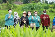 Inovasi Kabupaten Gianyar Dijadikan Studi Tiru Kabupaten Bone Puspa Aman