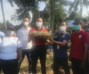 Dorong Peningkatan Populasi Sapi Bali, Dinas Pertanian Kembangkan Kebun Edukasi HPT Sapi Bali