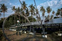 Jadi Ujung Tombak Penurunan Emisi di RI, Ini Upaya PLN Jaga Kelestarian Bumi Kelestarian Bumi