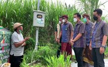 Peduli Pertanian Organik, PLN Salurkan Bantuan Smart Farming ke Kelompok Petani Cabai Klungkung PLN Peduli