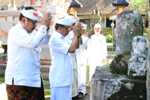 Gubernur Bali Gelar Upacara Jana Kerthi Pada Rahina Tumpek Landep di Pura Pangukur-ukur Tumpek Landep