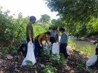 Jalin Kerjasama NGO, KUI Unud Gelar Workshop dan Pengabdian di Hutan Bakau KUI UNUD