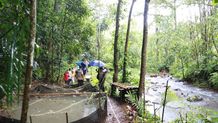 Penataan Kawasan Kayuan Selonding di Desa Pedawa Menjadi Tema Pengabdian Kepada Masyarakat Prodi Arsitektur FT Unud Kawasan Kayuan Selonding